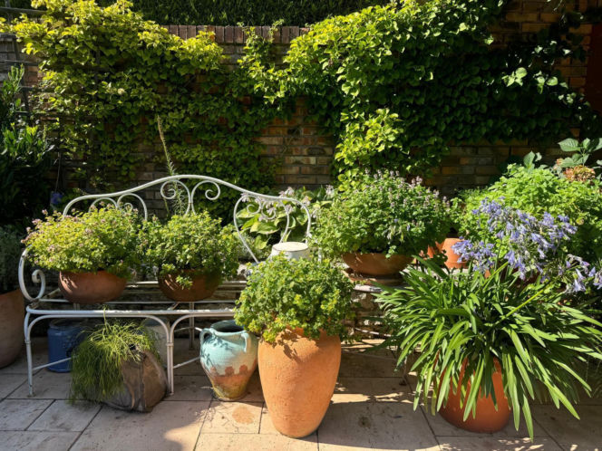 Ogrody Kapias w Goczałkowicach