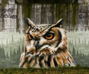 Nowe murale autorstwa Arkadiusza Andrejkowa