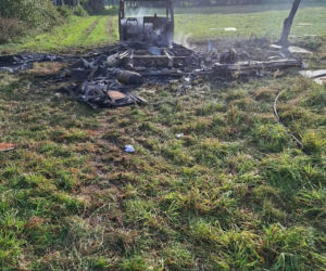 Tajemnicza śmierć i pożar kampera. Ciało kobiety znaleziono w lesie