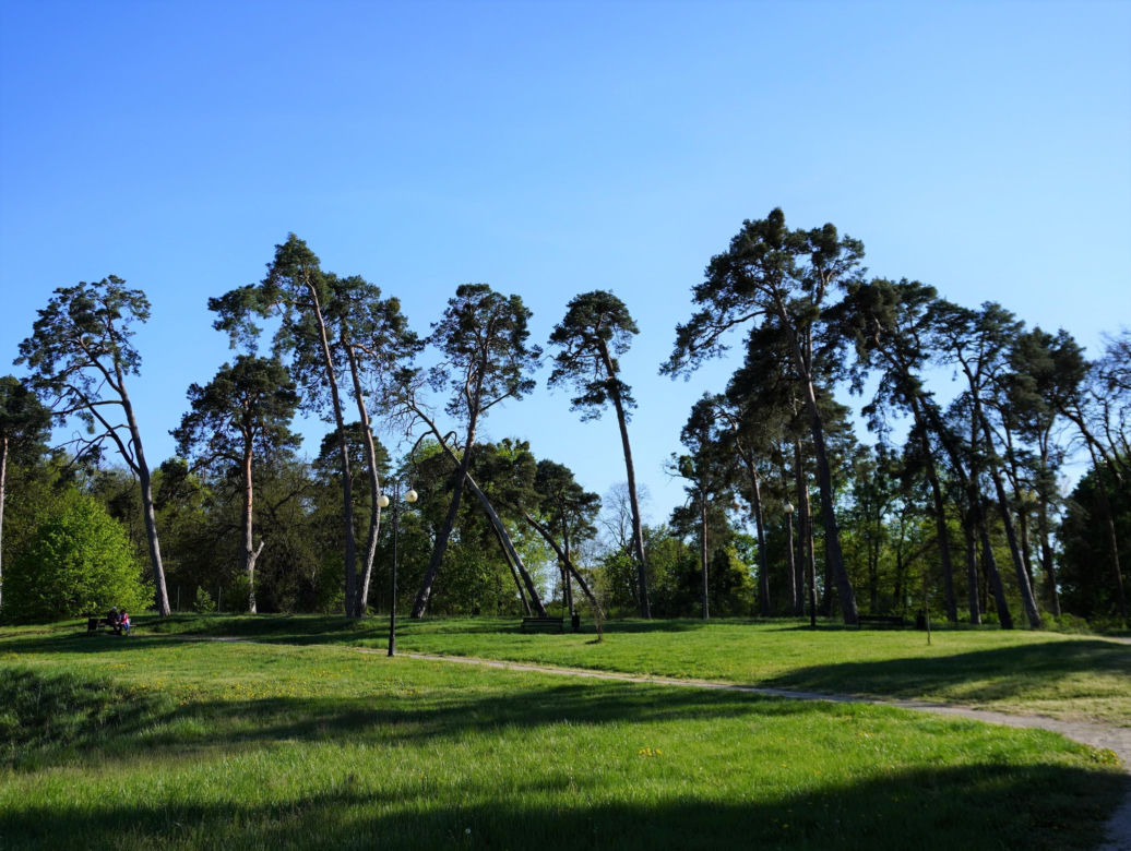 Park miejski w Opolu Lubelskim