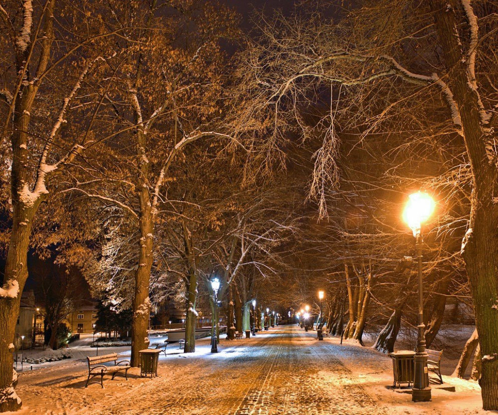 Rzeszów zimą