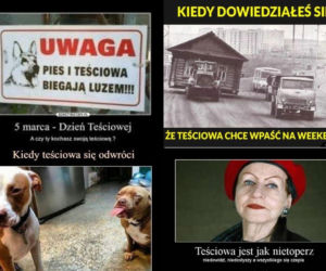 Dzień Teściowej 2026 - memy. Te obrazki podbijają media społecznościowe