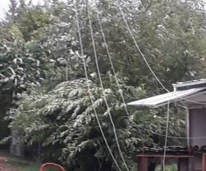 Skutki burzy w Krynkach. Złamany konar zerwał linię energetyczną i uszkodził auto