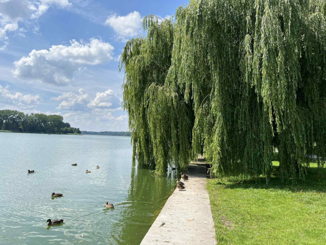 Jezioro Nowogardzkie
