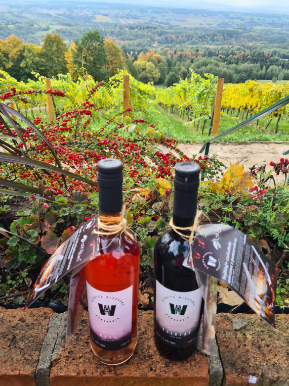 Wino i czekolada: skarby Podkarpacia [GALERIA]