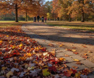 Weekend w Lublinie przyniesie zmianę temperatury. Jeden dzień będzie wyraźnie chłodniejszy
