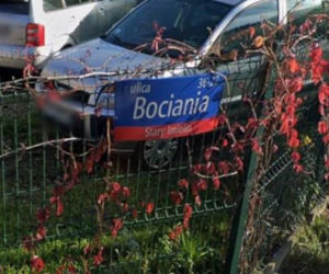 Oto najbardziej wiosenne ulice w stolicy! Tu wiosna trwa cały rok!