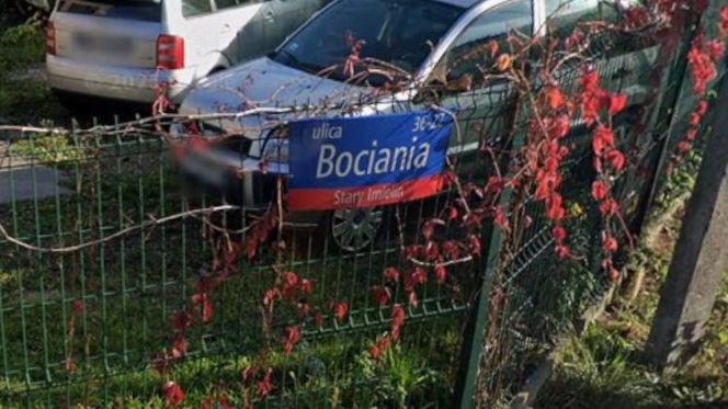 Oto najbardziej "wiosenne" ulice w stolicy! Tu wiosna trwa cały rok!