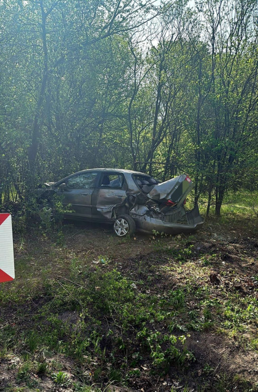 Pijany kierowca wypadł z jezdni i wbił się w drzewo