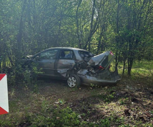 Pijany kierowca wypadł z jezdni i wbił się w drzewo