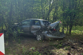 Pijany kierowca wypadł z jezdni i wbił się w drzewo