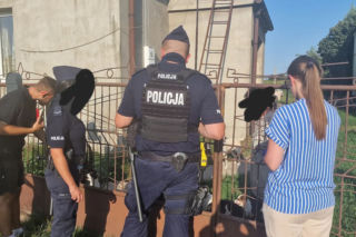 Oskarżają tiktokerkę o zoofilię. Szokująca sprawa z Mazowsza
