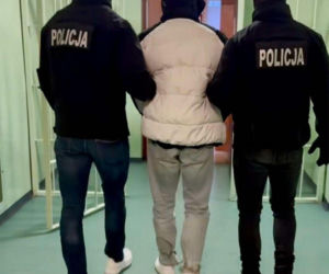 Zabił kolegę, poćwiartował i wyniósł w walizce. Szczątki zakopał w parku miejskim. Biegli nie mają wątpliwości