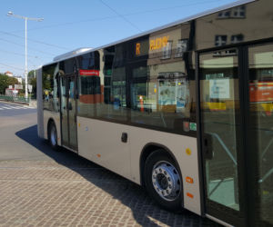 Pierwszy kurs autobusu przegubowego w Grudziądzu