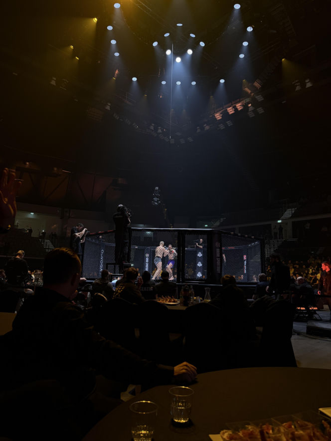 King's Arena2. Klatka i Lwy