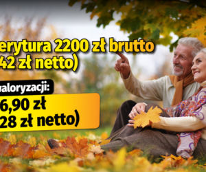 Polski Ład/waloryzacja 4,89