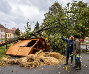 Cztery osoby ranne w Reczu. Wiatr zerwał gałęzie na dożynkach