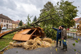 Cztery osoby ranne w Reczu. Wiatr zerwał gałęzie na dożynkach