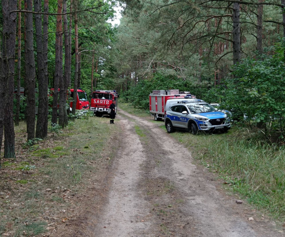Kujawsko-pomorskie: Ogromna akcja poszukiwawcza w lesie! Zaskakujący finał