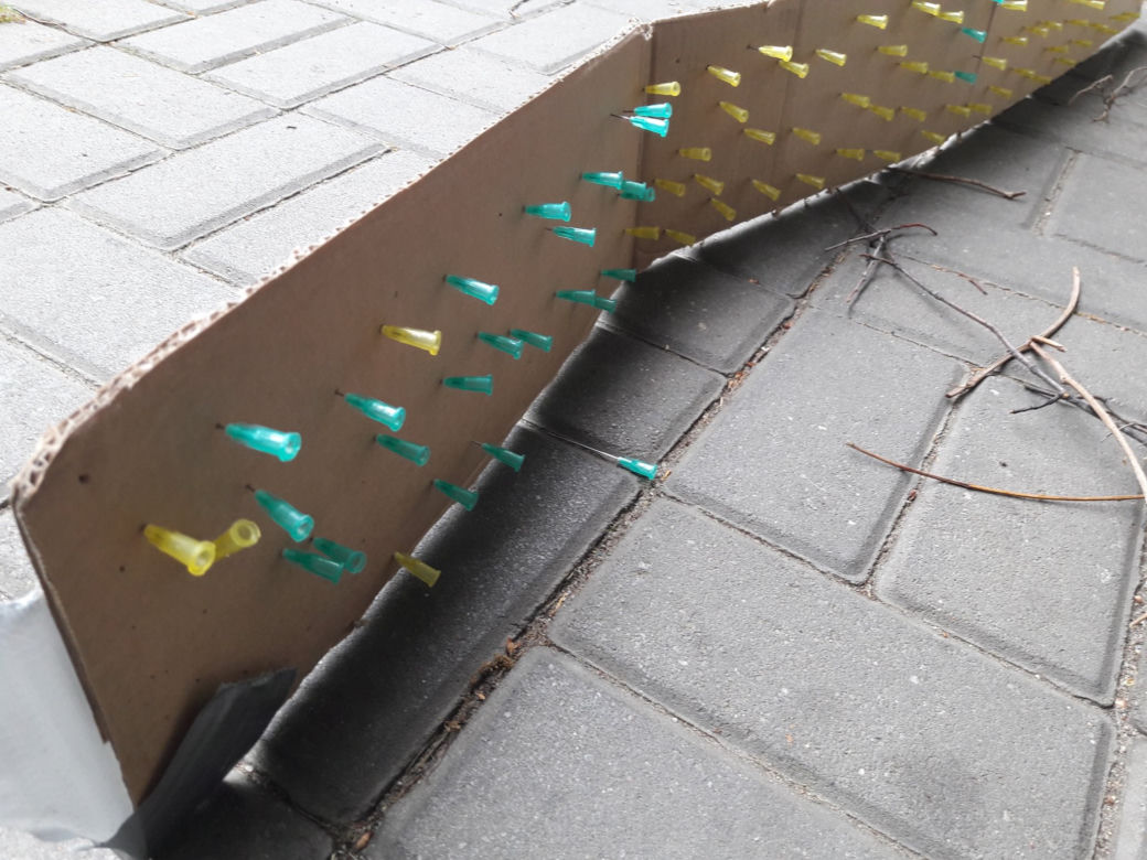 Katowice. Ktoś zastawia PUŁAPKI na psy z kolcami! "Są ślady krwi!" [ZDJĘCIA]