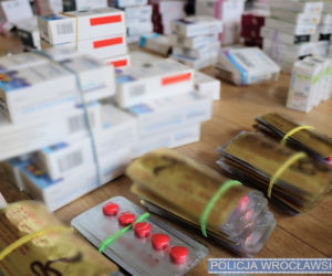 We wrocławskiej siłowni handlowano sterydami