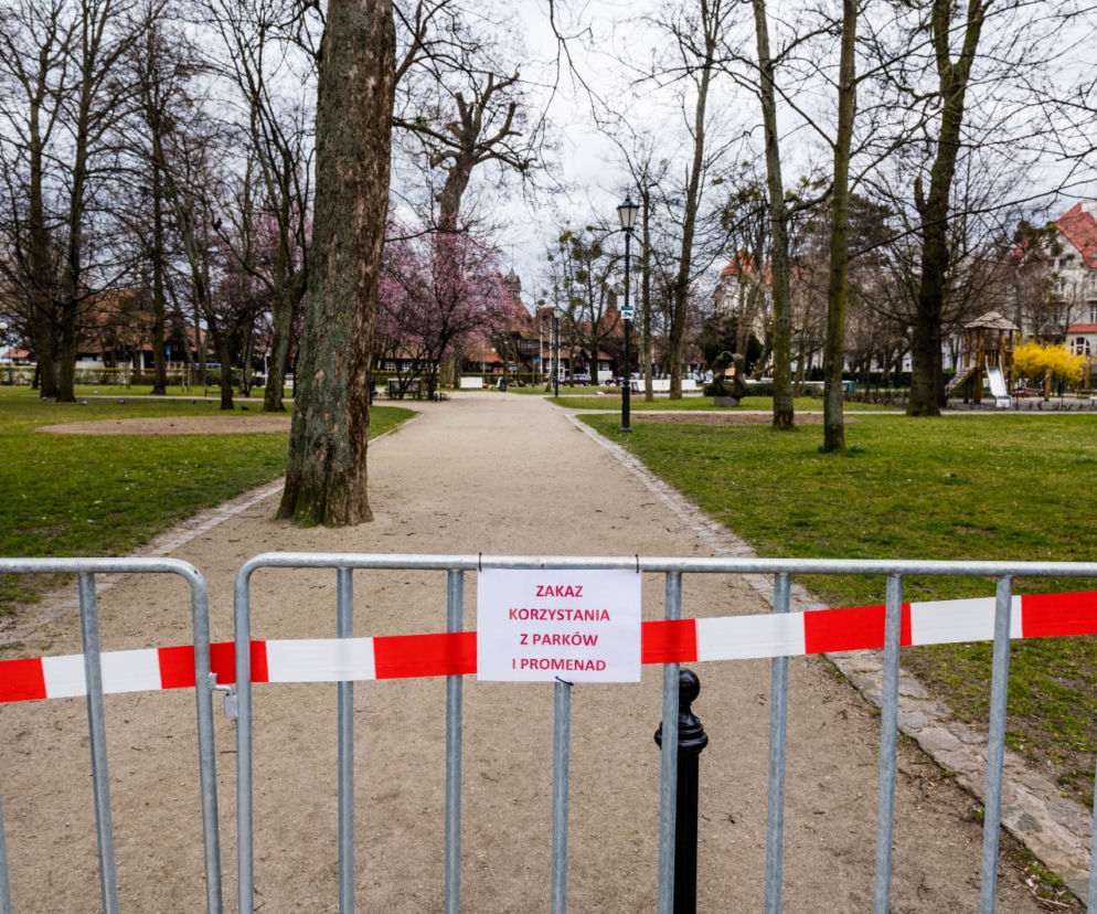 Dostali mandat za siedzenie w aucie 