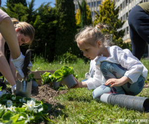 Ukrainki w dowód wdzięczności posadziły kwiaty w Parku Miejskim Solidarności w Tychach.