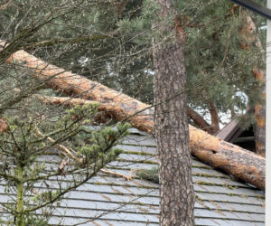 Interwencje Strażaków przy likwidacji szkód spowodowanych przez gwałtowny wiatr i burze