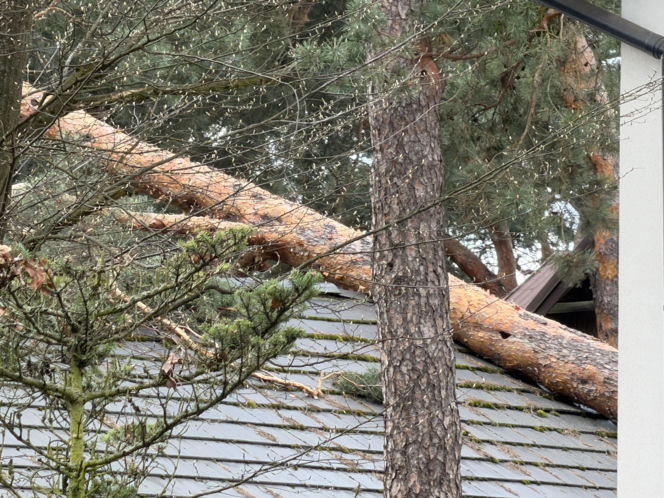 Interwencje Strażaków przy likwidacji szkód spowodowanych przez gwałtowny wiatr i burze