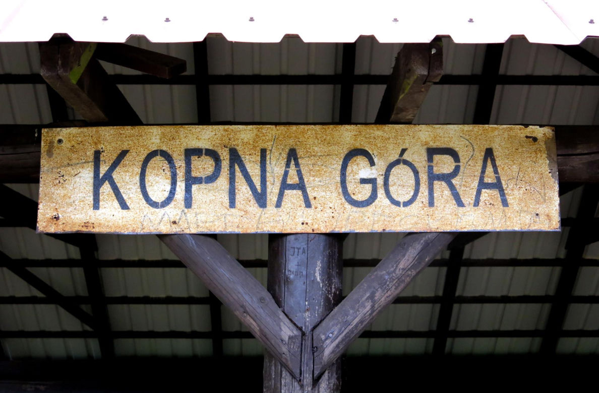 Zagroda żubrów w Kopnej Górze koło Supraśla. Mega atrakcja dla turystów!