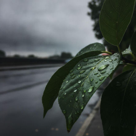 Pogoda w Krakowie szykuje dużą zmianę. Weekend zacznie się upalnie, ale końcówka zaskoczy