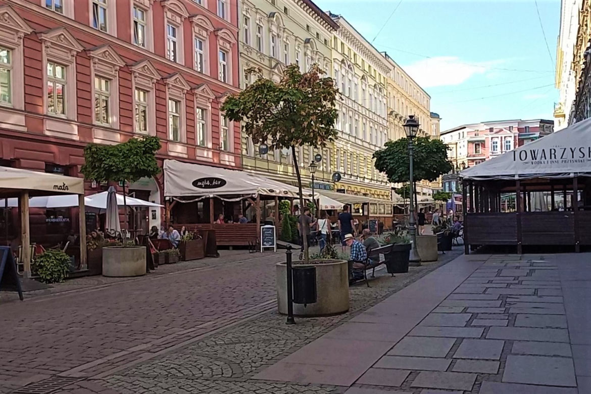 Drzewa w donicach opanowały Szczecin
