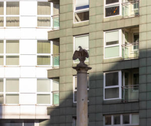 Orzeł przy Bukowińskiej