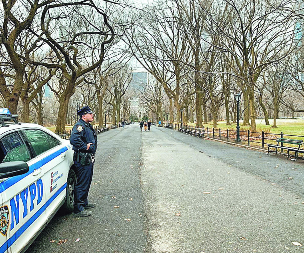 Niebezpieczniej w Central Park