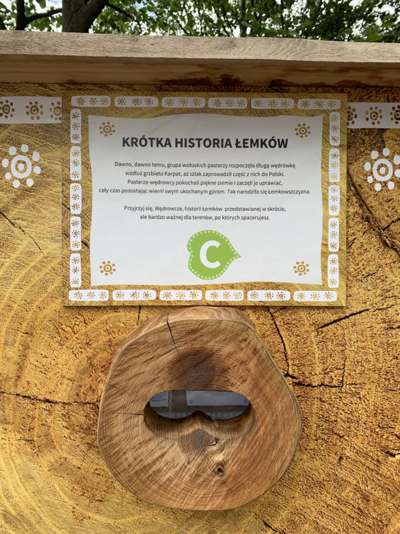 Ścieżka w koronach drzew Krynica Słotwiny