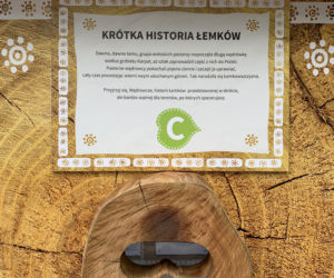 Ścieżka w koronach drzew Krynica Słotwiny