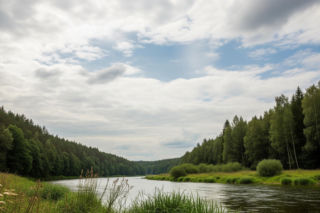 Sobiborski Park Narodowy w Lubelskiem. Kto i dlaczego blokuje cenną inicjatywę?