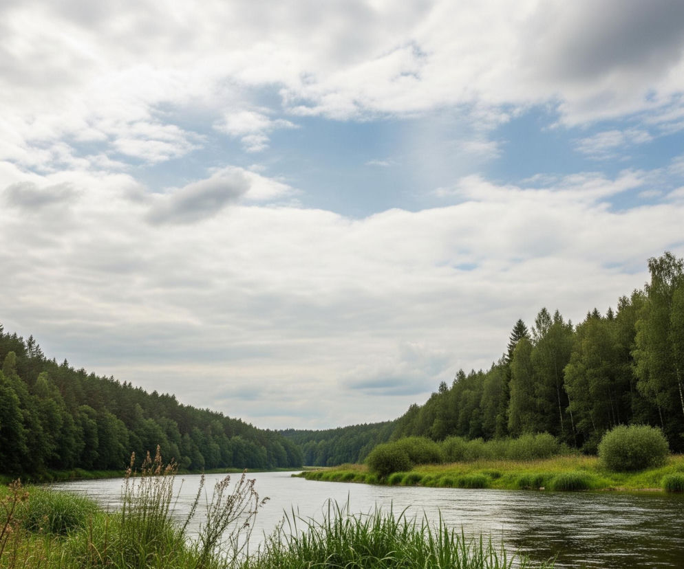 Szeroka, spokojna rzeka z ciemnoszarą wodą płynie przez środek obrazu, rozciągając się w dal i zaginając za drzewami. Po obu stronach rzeki wznoszą się gęste, zielone lasy liściaste i iglaste, tworzące ciemne ściany drzew. Na brzegach rośnie wysoka, soczyście zielona trawa i krzewy. Nad całością rozciąga się zachmurzone niebo z widocznymi fragmentami błękitu pośrodku.