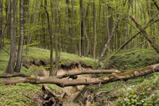 Nowe rezerwaty na terenie woj. lubelskiego