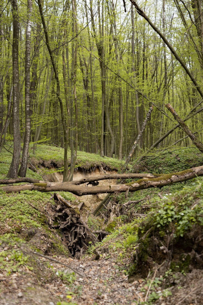 Nowe rezerwaty na terenie woj. lubelskiego
