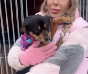 Doda ratuje psy przed mrozem