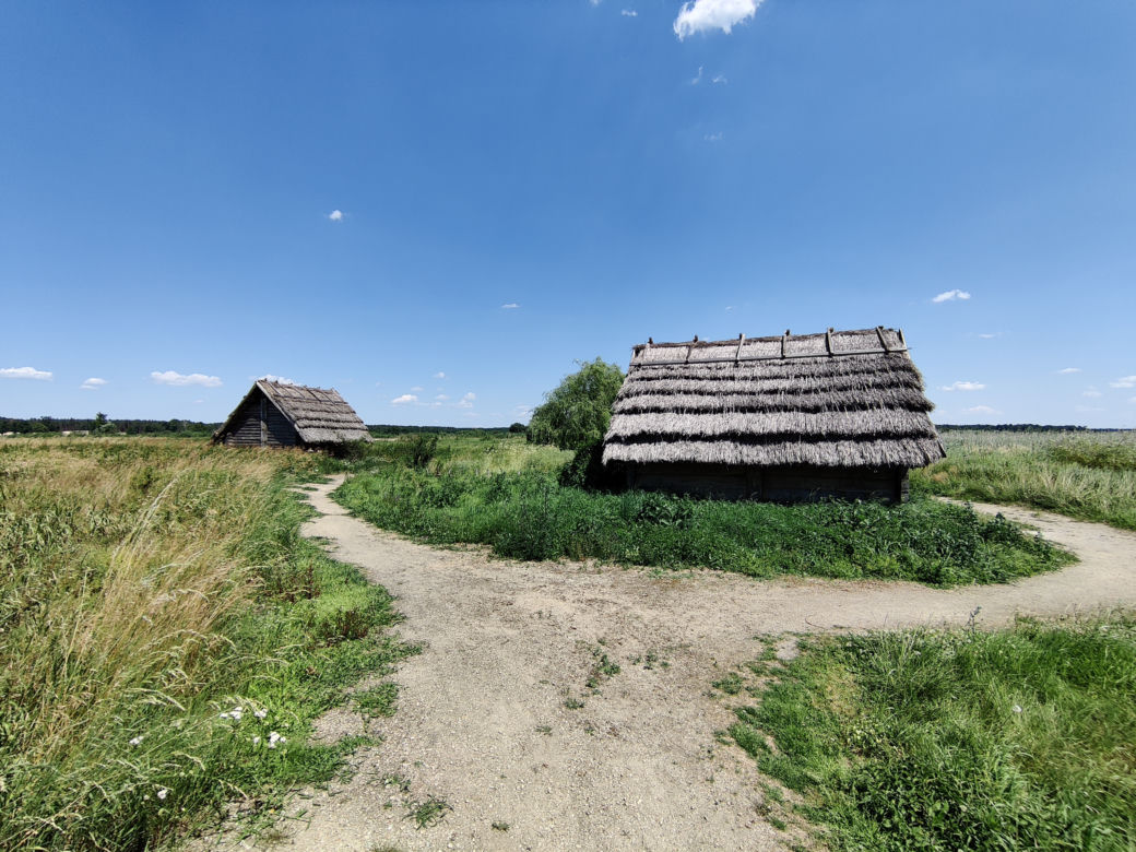 Mniej znana atrakcja z woj. lubelskiego. Zobacz zdjęcia z grodziska w pow. opolskim