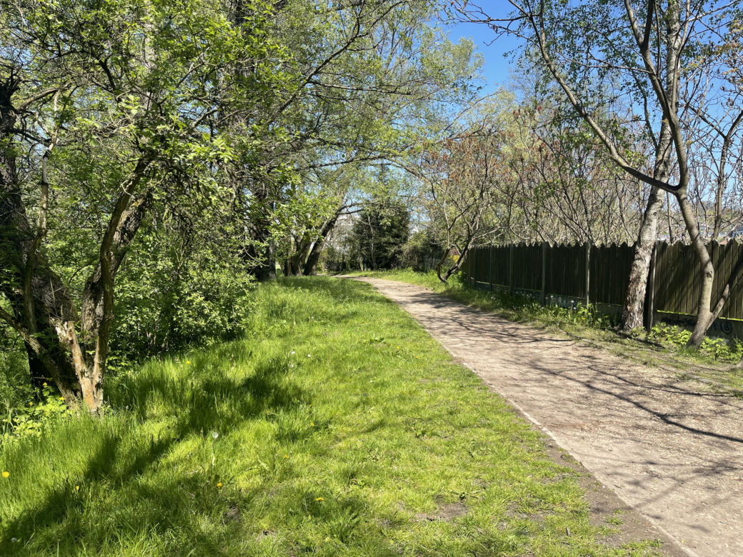 Kraków ma najdłuższy park w Polsce. Poznajcie Młynówkę Królewską! 