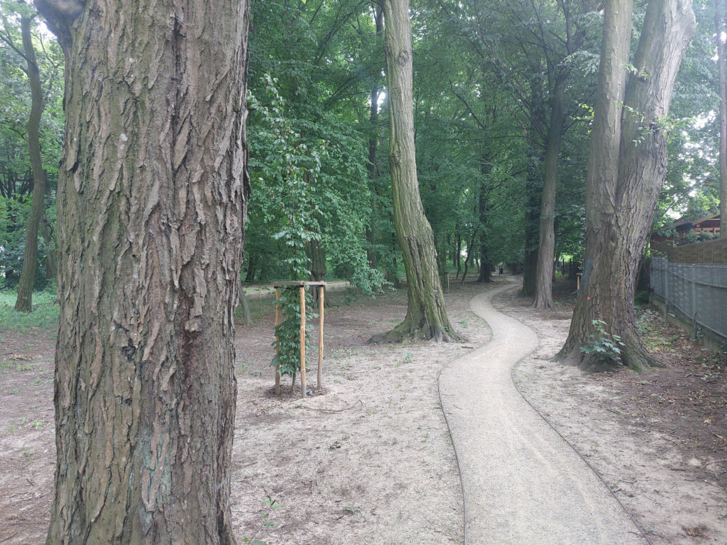Park im. Szafera w Rzeszowie 