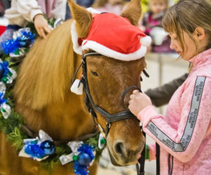 Konie, emocje i rywalizacja w sercu Wielkopolski! Rusza Perlage CAVALIADA Tour
