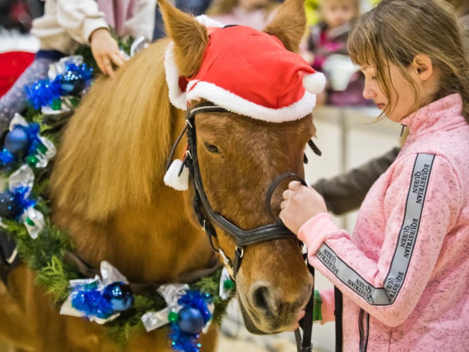 Konie, emocje i rywalizacja w sercu Wielkopolski! Rusza Perlage CAVALIADA Tour