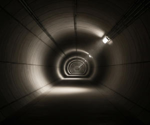 Bunkier pod Białym Domem. Czy Donald Trump ukrywa prawdziwy cel remontu?