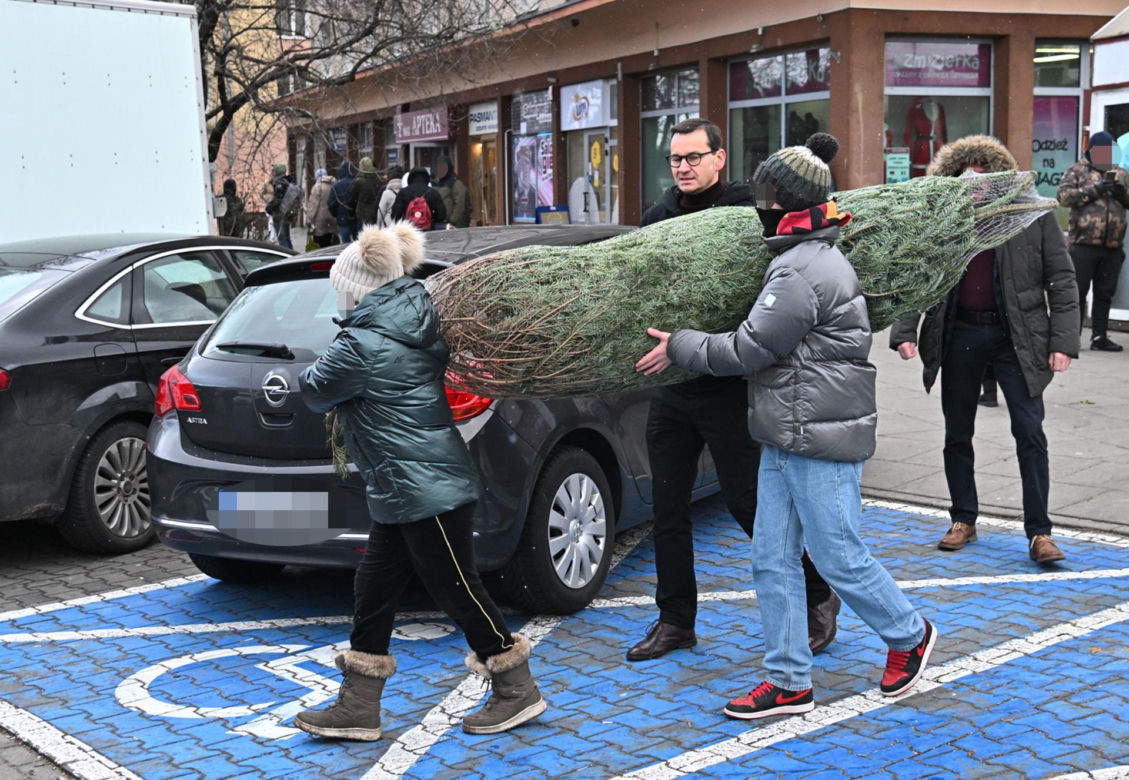Morawiecki kupuje choinkę na święta