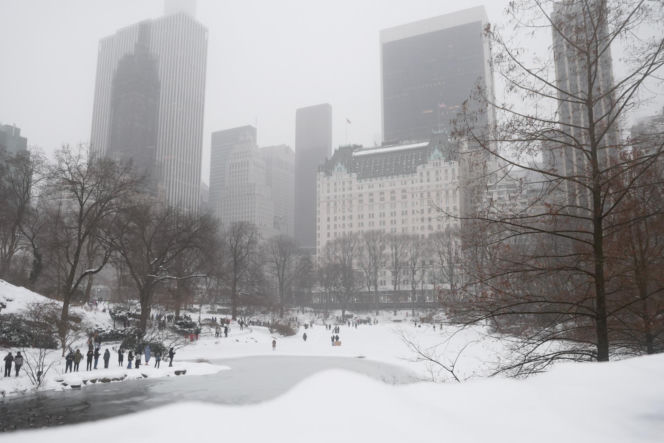 Koszmarny bilans zimy stulecia w USA! Dziesiątki ofiar