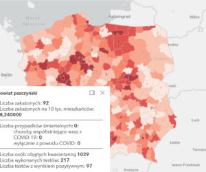 Koronawirus w województwie śląskim. Tak wygląda sytuacja w poszczególnych powiatach [RAPORT, 19 MARCA]